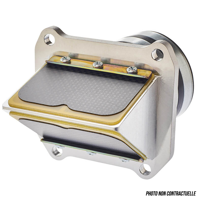 Boîte à Clapets BOYESEN