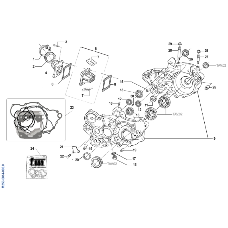 CARTER MOTEUR TM 300 MX 2008