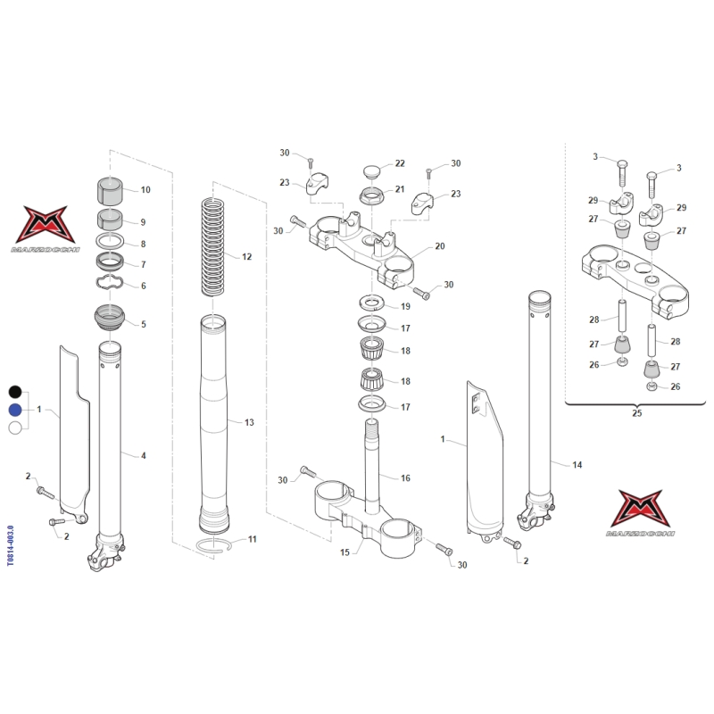 FOURCHE MARZOCCHI TM 300 MX 2011-2014