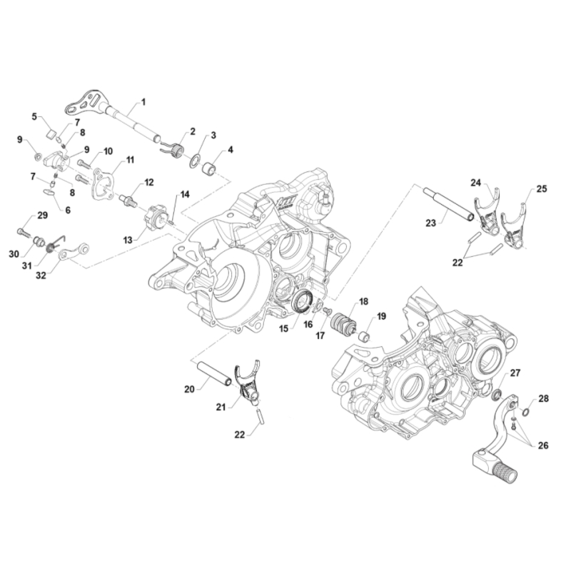SELECTION TM 300 MX 2019