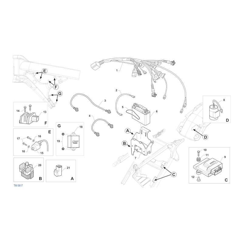 CABLAGE ET COMPOSANTS TM 300 MX FI 2025