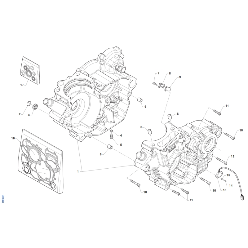 CARTER MOTEUR TM 250 EN FI TWIN 4T 2019