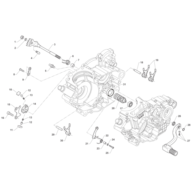 SELECTION TM 250 EN FI TWIN 4T 2019