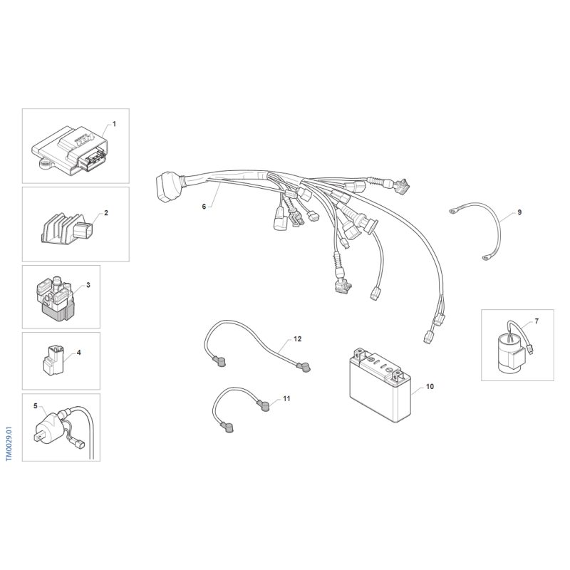 FAISCEAU ELECTRIQUE TM 300 MX FI 4T 2020-2021