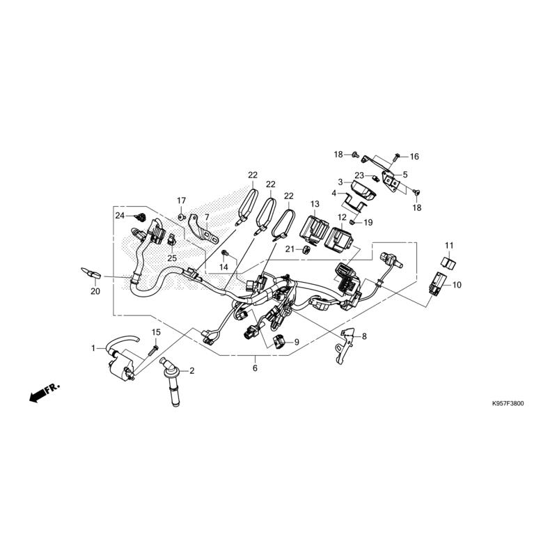 FAISCEAU ECU HONDA REDMOTO 250 CRF RXS 2025