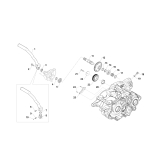 KICK TM 250 MX 2T 2025