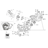 CARTER MOTEUR TM 300 MX 2015-2018