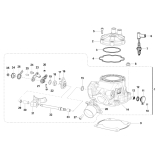 CYLINDRE TM 125 EN FI 2T 2025