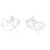 VIS CARTER MOTEUR TM 144 EN FI 2023-2025