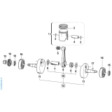 EMBIELLAGE TM 125 SMR 2T 2019