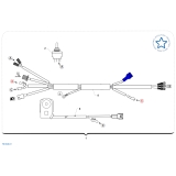 FAISCEAU ELECTRIQUE SIMPLIFIE TM 300 EN FI 4T 2022-2025
