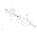 EMBIELLAGE TM 250 EN FI 4T 2026